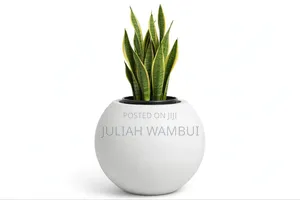 Handmade White Cement Planter Pot - Modern Round Pot for Indoor Plants