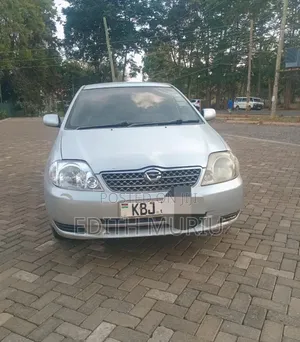 Toyota Corolla Fielder 2006 Silver