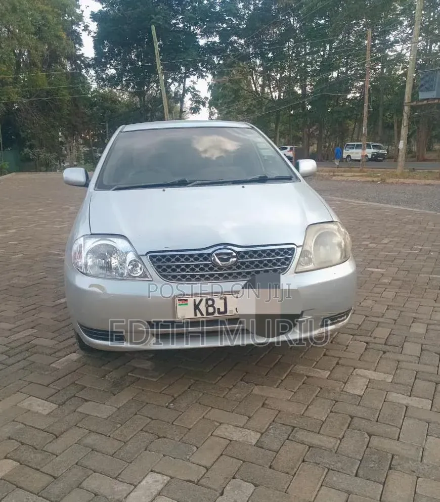 Toyota Corolla Fielder 2006 Silver
