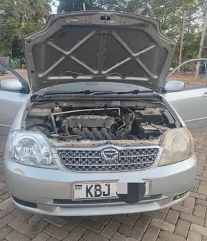 Toyota Corolla Fielder 2006 Silver