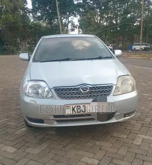 Toyota Corolla Fielder 2006 Silver