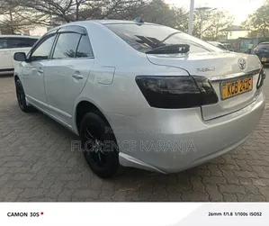 Toyota Premio 2009 Silver