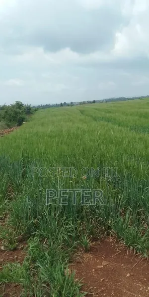 100 Acres of Land for Sale at Gatirima Tandare Laikipia