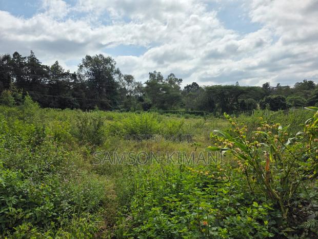 Quiet Neighborhood, Big Possibilities – Residential Land for Sale