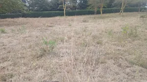 1 Acre Land for Sale in Ongata Rongai Nkoroi Kamura Oloika Road.