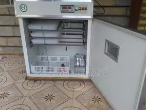264 Egg Incubator