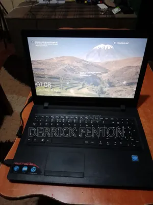 Laptop Lenovo IdeaPad 110 2GB Intel HDD 500GB