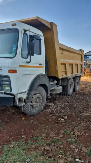 Tata Tipper 2516 2014 White