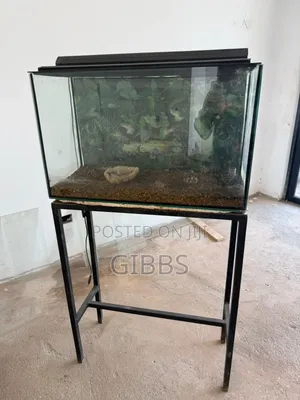 Glass Aquarium With Cover, Stand and Gravel for Sale