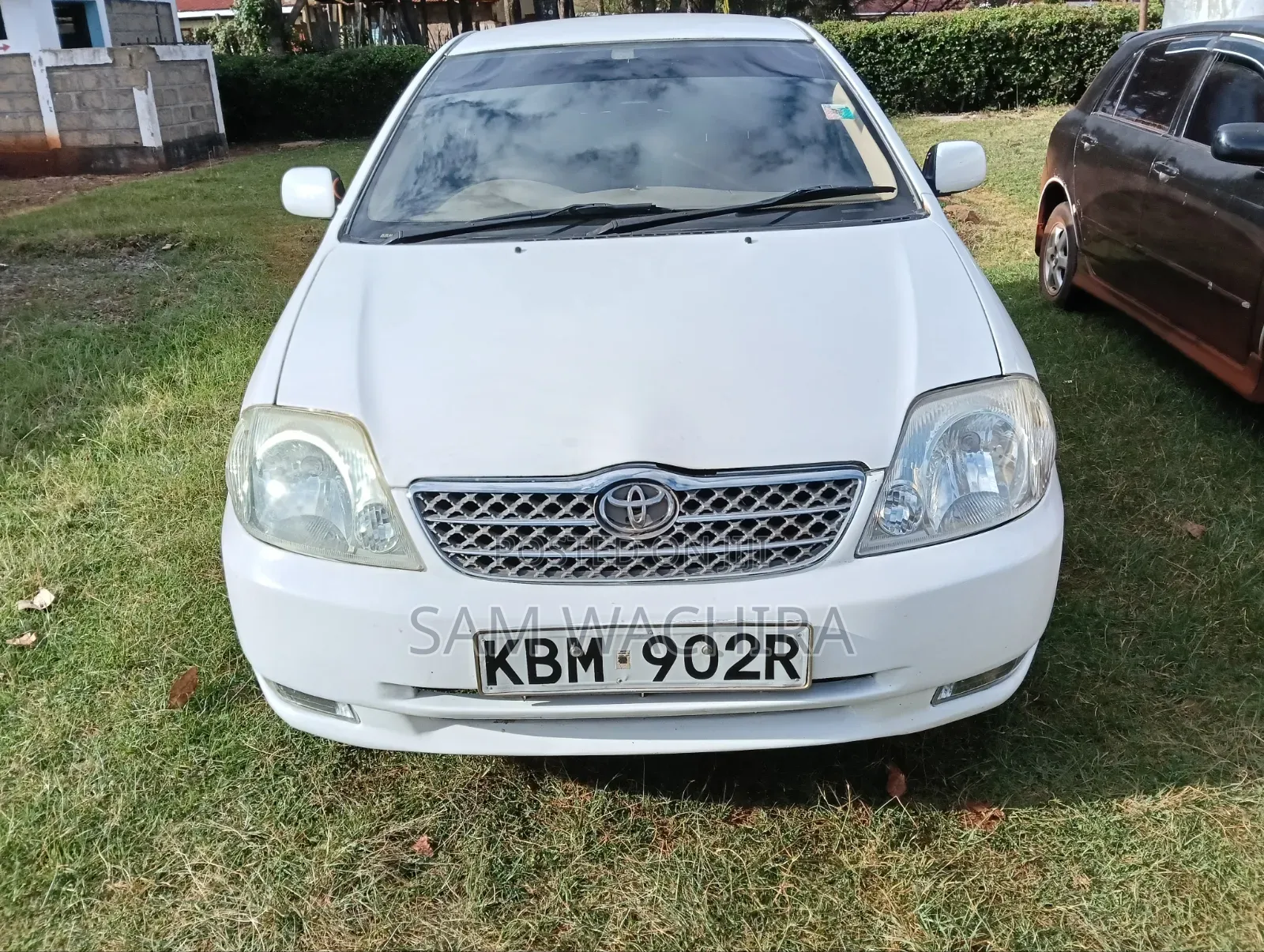 Toyota Corolla 2003 White