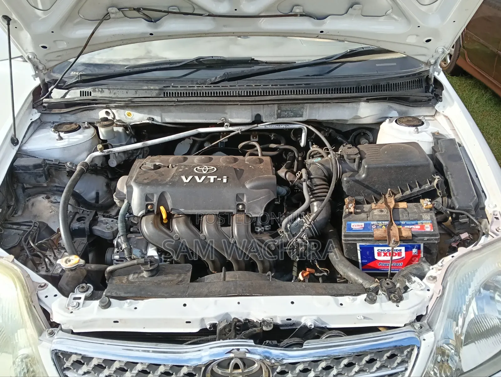 Toyota Corolla 2003 White