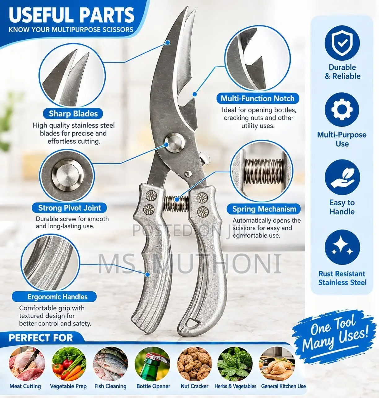 Heavy-Duty Stainless Steel Poultry / Meat Shears