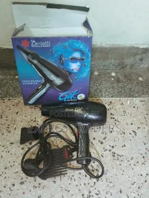 3000 W Commercial Blow Dry