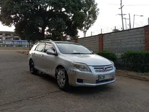 Toyota Corolla Fielder 2008 Silver