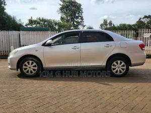 Toyota Axio 2011 Silver