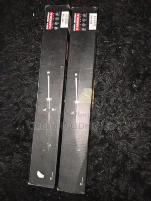 Mini Cooper R53 Rear Shocks