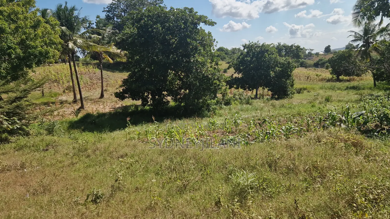 Dongo Kundu Bypass Mixed Development Land