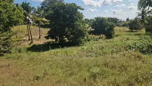 Dongo Kundu Bypass Mixed Development Land