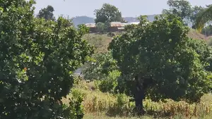 Dongo Kundu Bypass Mixed Development Land