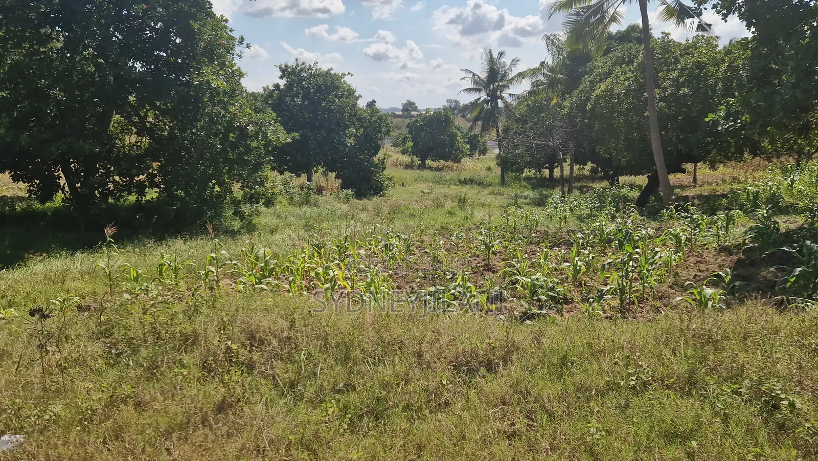Dongo Kundu Bypass Mixed Development Land