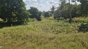 Dongo Kundu Bypass Mixed Development Land