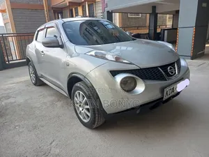 Nissan Juke 2011 Silver
