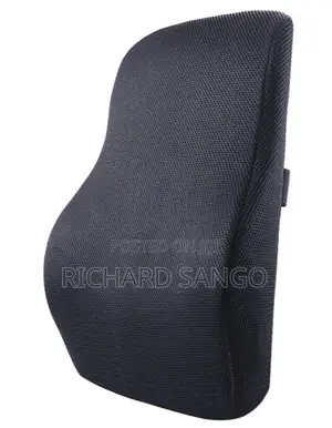 Orthopedic Ergonomic Back Support