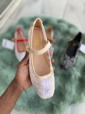 Zara Mesh Ballerina