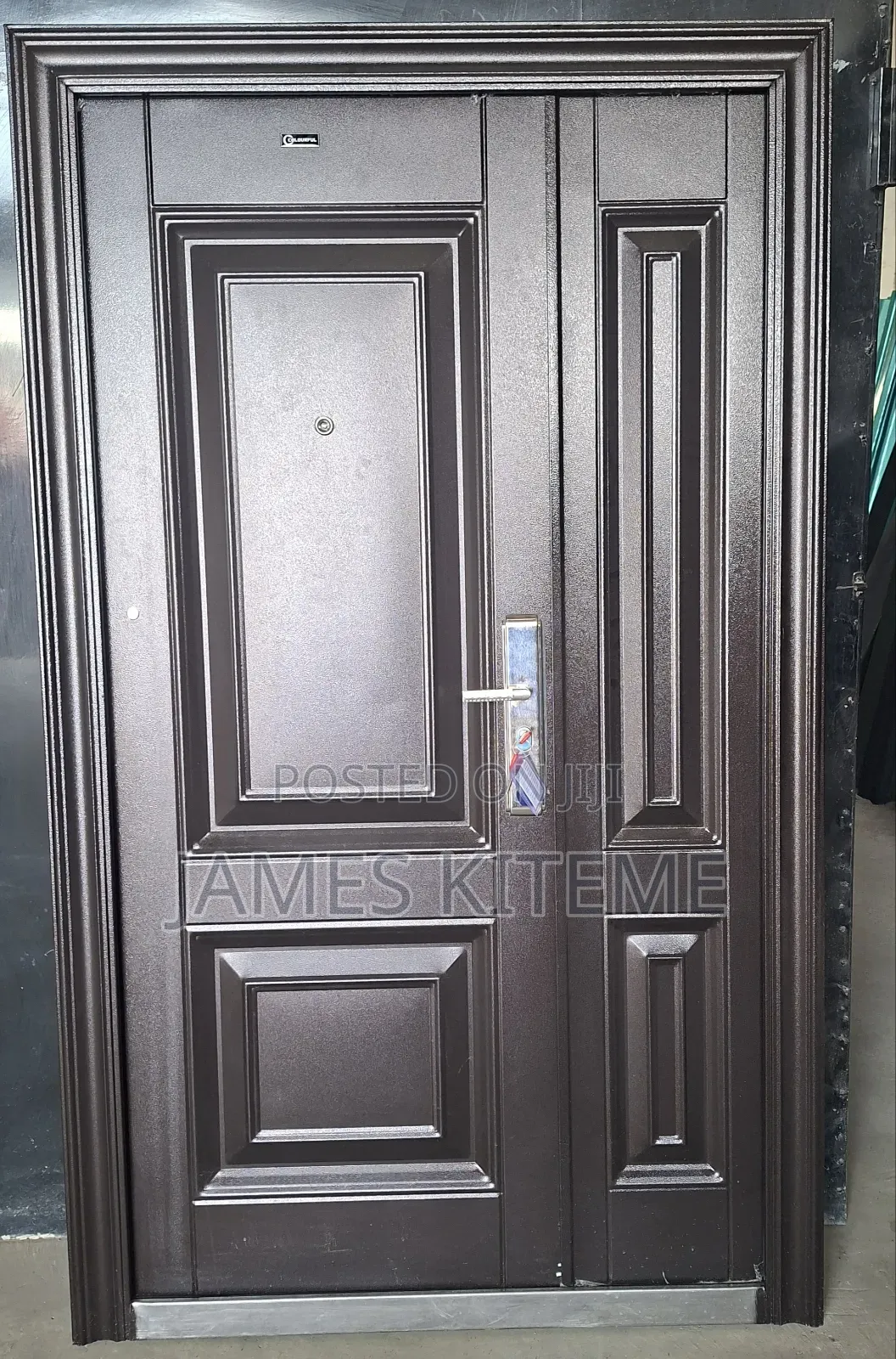Entry Style Doors