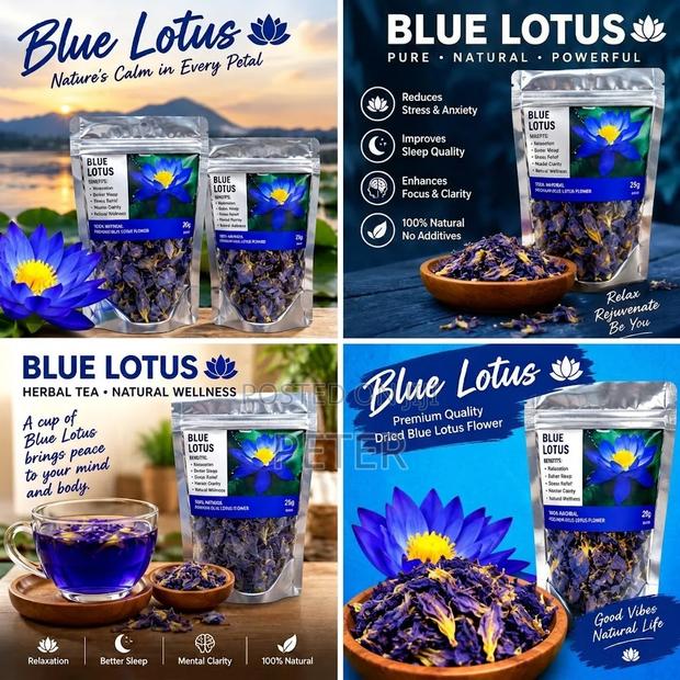 Blue Lotus - thumbnail 2
