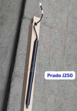 Electric Boot Shock Prado J250
