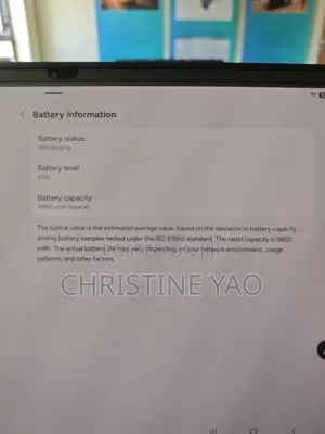 Samsung Galaxy Tab S10+ 5G 256 GB Gray