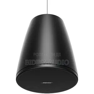 Bose Professional DesignMax DM5P