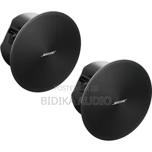 Bose Professional DesignMax