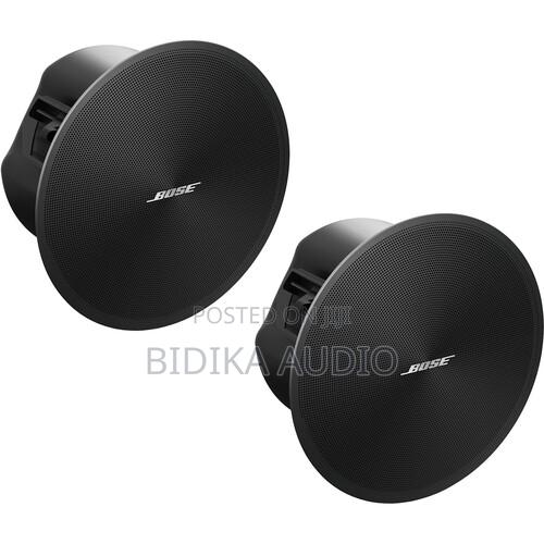 Bose Professional DesignMax - main view