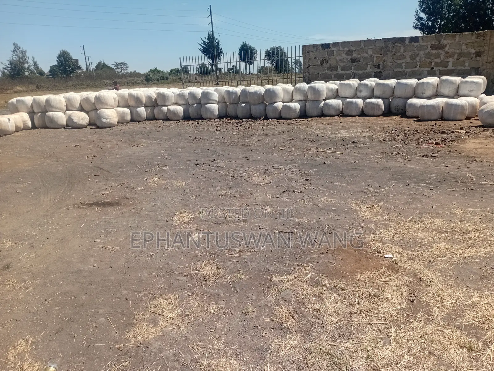 Baled Silage
