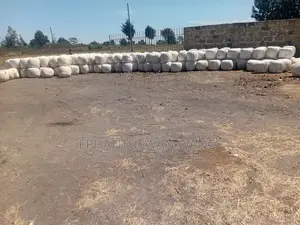 Baled Silage