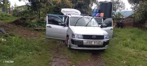 Toyota Probox 2009 Silver