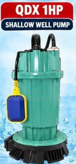 Electric Submersible Water Pump
