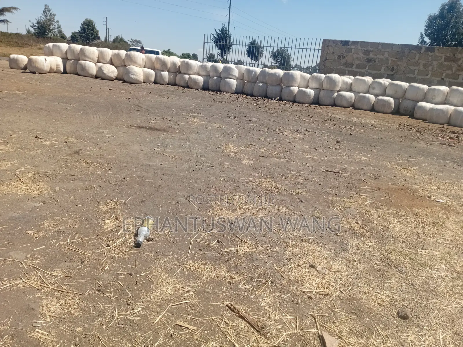 Baled Silage