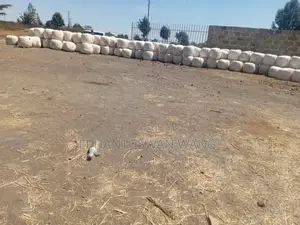 Baled Silage
