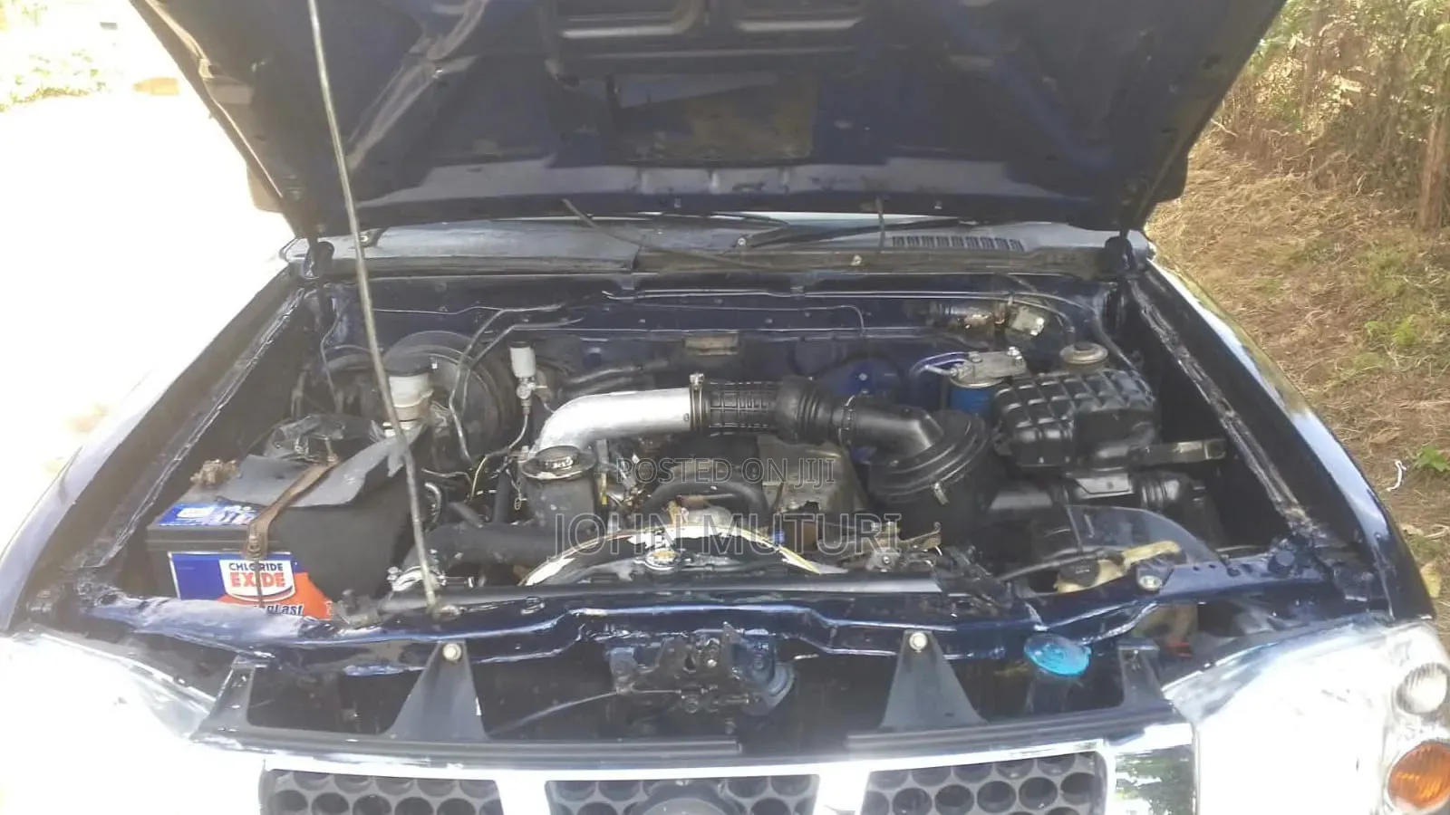Nissan Hardbody 2009 Blue