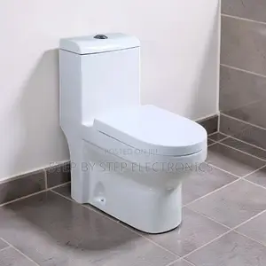 Retailer Prices Stylish Sawa One Piece Dual Flush Toilet Seats