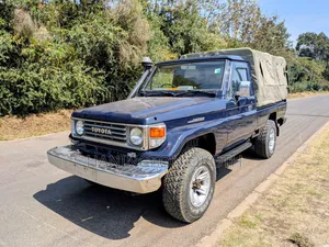 Toyota Land Cruiser 80 Wagon 4.2 D 1993 Blue