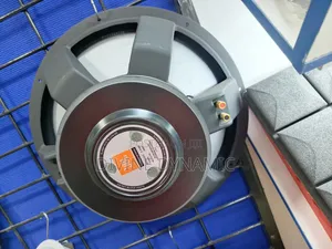 JBL 18 Inch Naked Speaker Double Magnet