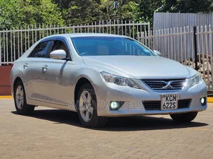Toyota Mark X 2.5 RWD 2009 Silver