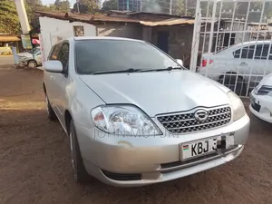 Toyota Corolla Fielder 2004 Silver