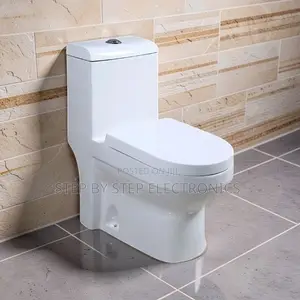 Low Budget Prices Durable Sawa One Piece Dual Flush Toilet Seats