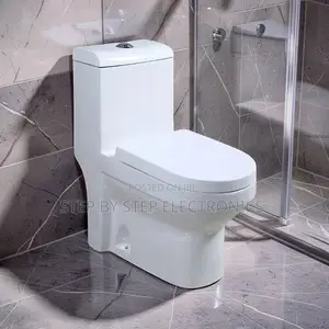 Water Efficient Elegant Sawa One Piece Dual Flush Toilet Seats