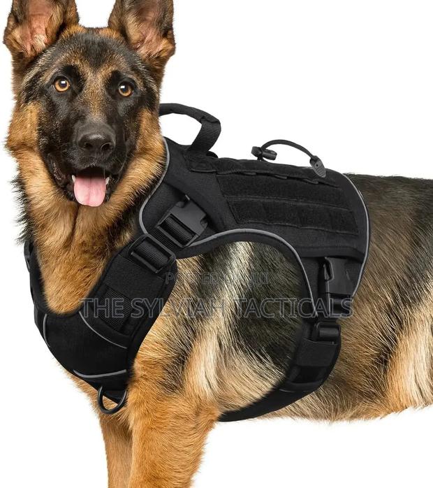 Original Dog Harness - thumbnail 3